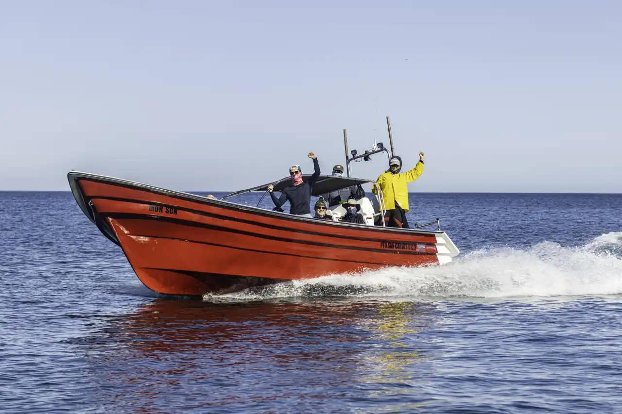 Marlin Run Mexico Baja California