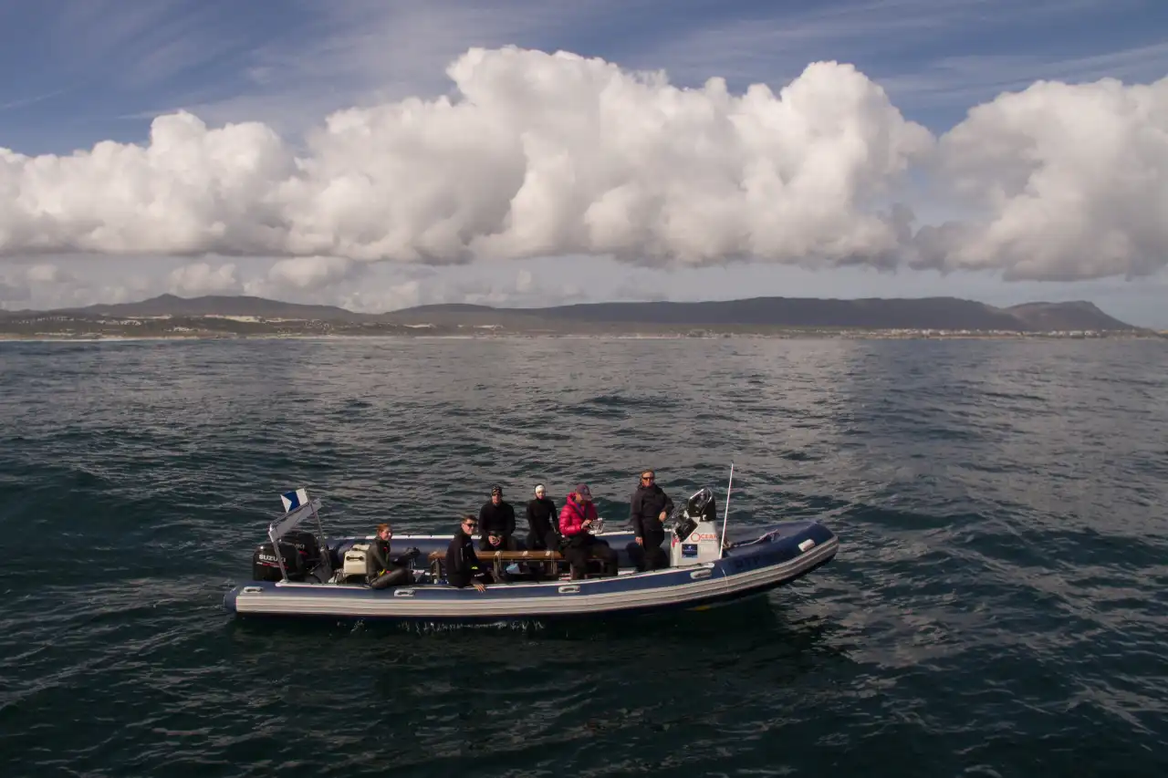 Ocean Safari auf Hartkiel Schlauchboot